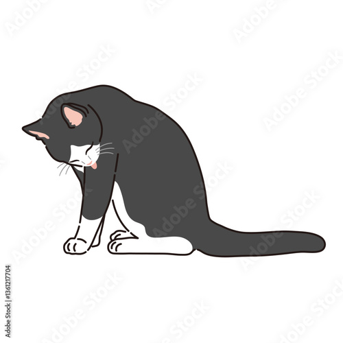 Illustration of a black and white cat grooming itself