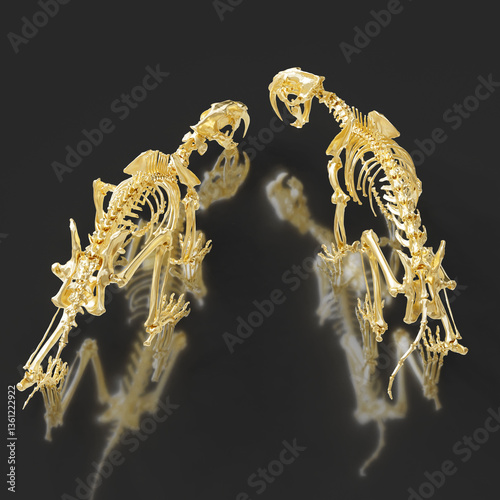 Twin Smilodon Skeletons with Open Jaws
