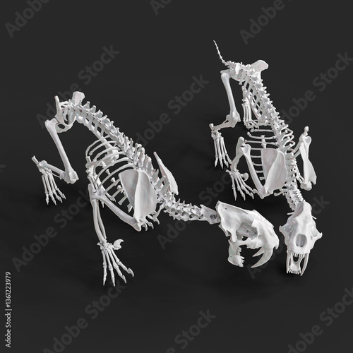 Two Smilodon Skeletons in Prehistoric Scene
