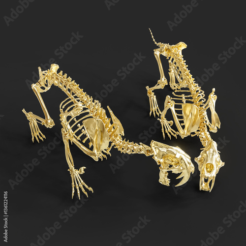 Pair of Sabretooth Cat Smilodon Skeletons