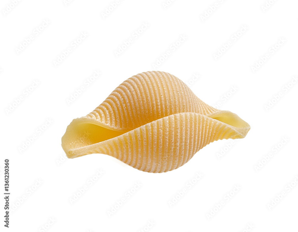 Single shell pasta Single shell pasta