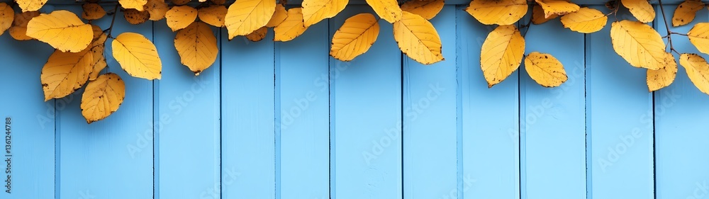 Obraz premium Yellow leaves resting upon a bright blue wooden surface