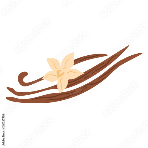 Vanilla Beans and Flower, Vanilla flower dried sticks
