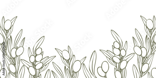 Vector frame with olive tree branch with leaves and fruit. Hand drawn outline floral illustration template, contours without color fill for logo, package design, greetings, wallpapers, print, fabric