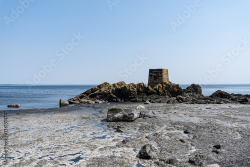 Fototapeta Naklejka Na Ścianę i Meble -  Salish sea coast shoreline sunny beach British Columbia