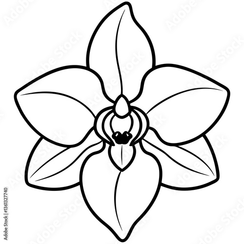  Elegant orchid vector illustration, perfect for digital design, prints, and creative projects.