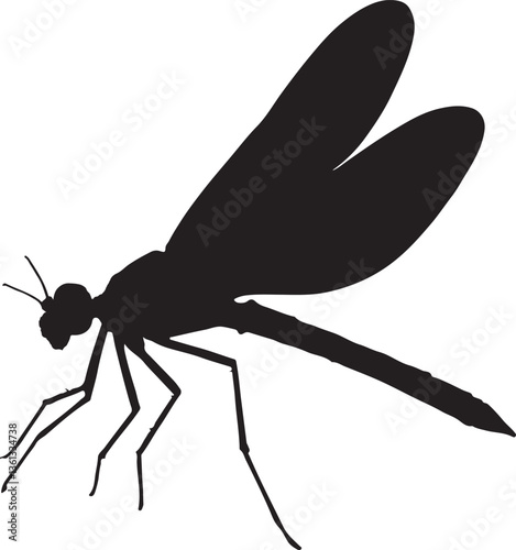 dragonfly icon vector silhouette  arts