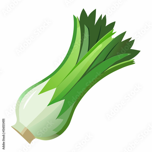 Leek vegetable isolated vector