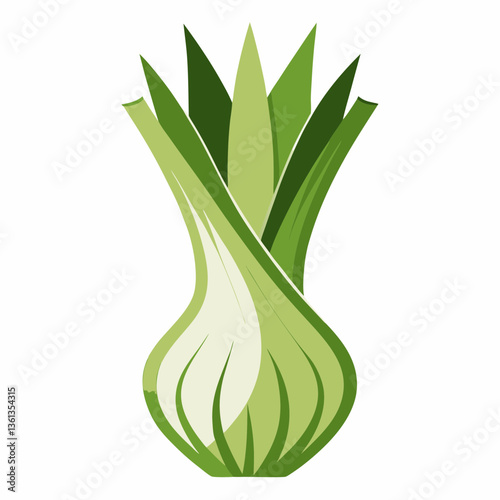 onion isolated on white background