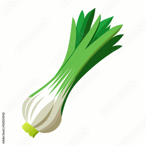 Leek vegetable isolated vector