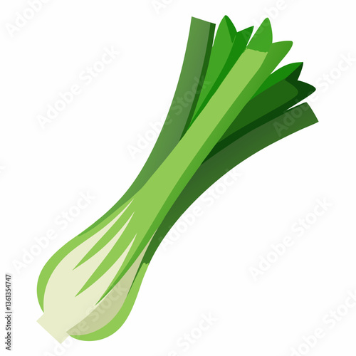 Leek vegetable isolated vector