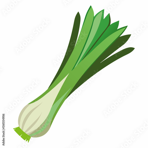 celery isolated on white background
