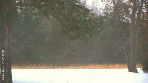 Strong wind gusts from Winter Storm Izzy, blow sleet and snow across the landscape during a rare, South Atlantic, winter storm.