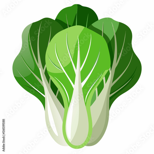 Bok choy vegetable isolated vector