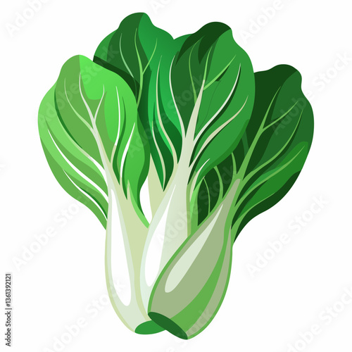 Bok choy vegetable isolated vector