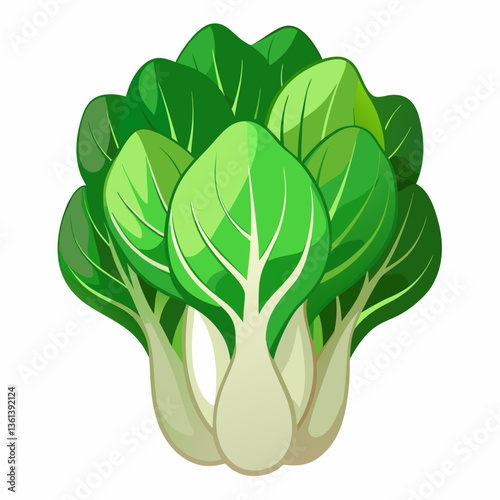 Bok choy vegetable isolated vector