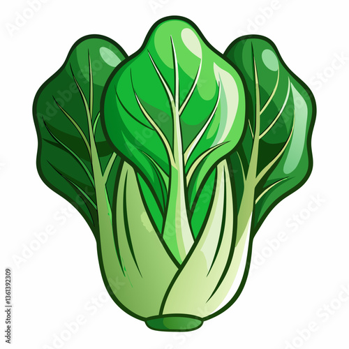 Bok choy vegetable isolated vector
