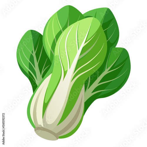 Bok choy vegetable isolated vector
