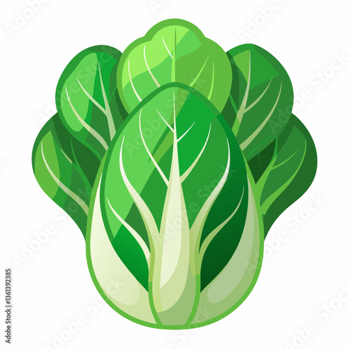 Bok choy vegetable isolated vector