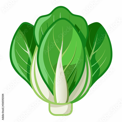 Bok choy vegetable isolated vector