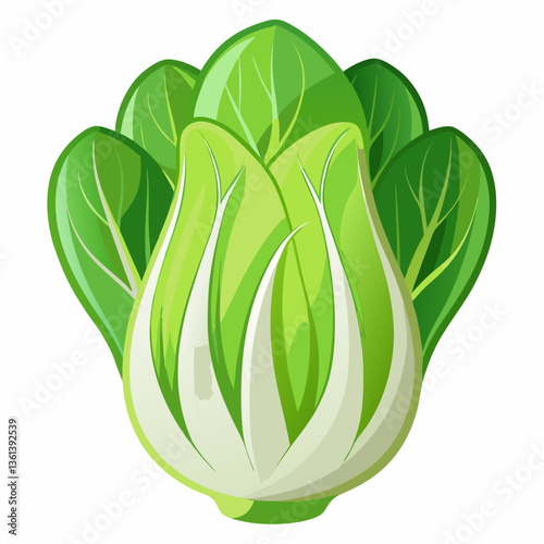Bok choy vegetable isolated vector