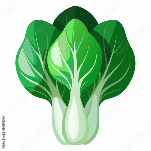 Bok choy vegetable isolated vector