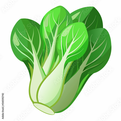 Bok choy vegetable isolated vector