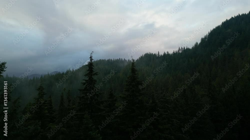 Misty Mountain Forest at Dusk in British Columbia Misty Mountain Forest at Dusk in British Columbia