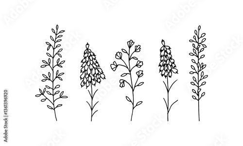 Decorative leaves and flowers on white background. Handmade vector illustration for your design. Doodle style.