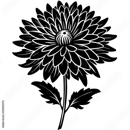 "Premium Aster vector for creative projects and digital designs."