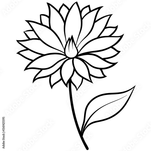 "Premium Aster vector for creative projects and digital designs."