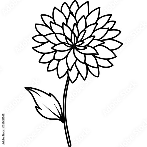 "Premium Aster vector for creative projects and digital designs."