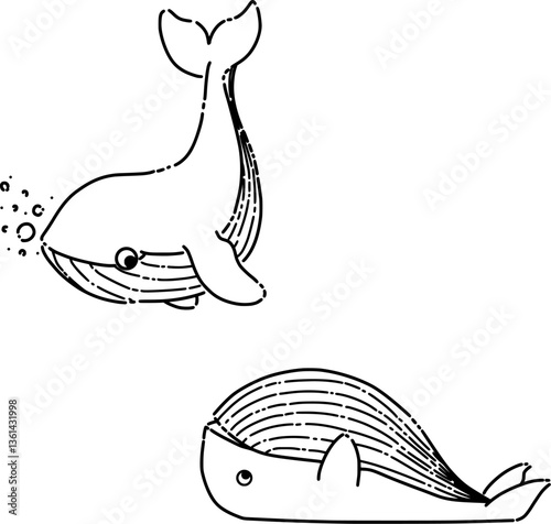 vector illustration of a whale