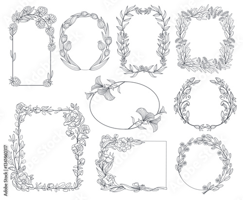 Elegant botanical frames. Different shapes borders, floral branches, vintage design elements, hand drawn linear plants, isolated elegant decorative for wedding invitations, splendid vector set