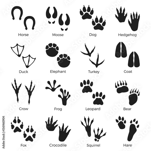 Black animals footprints. Paws prints silhouettes, reptiles, birds and mammals, wild life steps, horse, elephant and bear, stickers collection, isolated elements with text, nowaday vector set