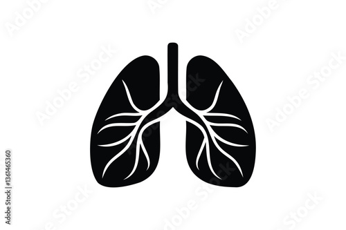 Human Lungs on white background