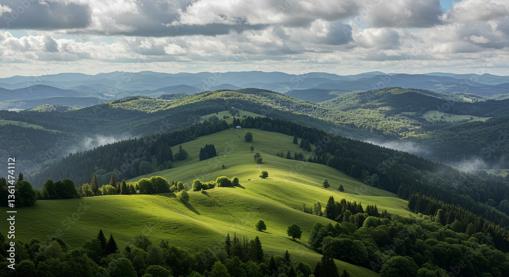 Obraz premium landscape with mountains