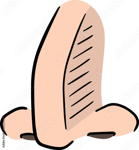 Illustration of nose
