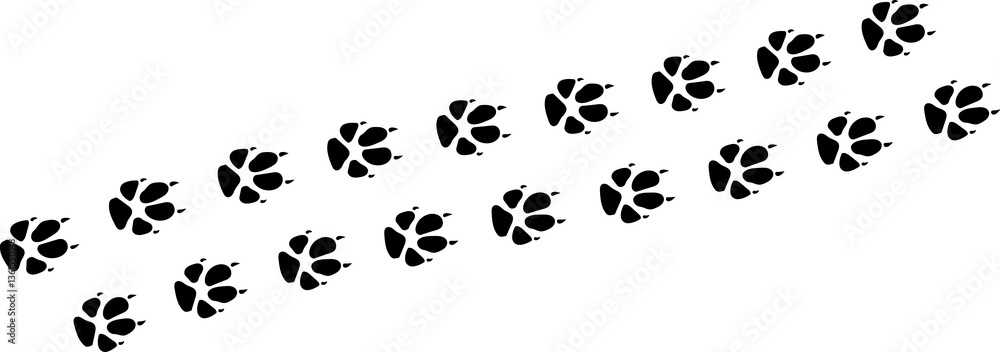 Paw vector foot trail print of cat dog and other. Pattern animal tracks isolated on white background. Black silhouette of a paw print Paw vector foot trail print of cat dog and other. Pattern animal tracks isolated on white background. Black silhouette of a paw print