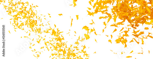 Yellow Marigold petals falling romantic white background isolated with yellow marigold flower petals flying. Religious floral spring season, ritual invitation yellow marigold petals in mid air