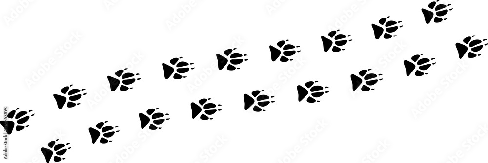 Paw vector foot trail print . Dog, cat, bear, wolf, chicken, cow, crocodile, donkey, duck, elephant and other silhouette animal. Paw print trail on transparent background. Paw vector foot trail print . Dog, cat, bear, wolf, chicken, cow, crocodile, donkey, duck, elephant and other silhouette animal. Paw print trail on transparent background.