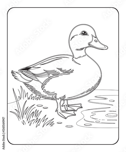 Duck coloring page for kids, black line art vector illustration on white background 