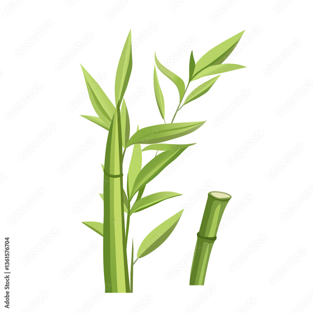 Obraz premium Hand-drawn bamboo plant and stalk pieces. Realistic bamboo vector set with stems and leaves. Bamboo stalk sections and green leaves clipart