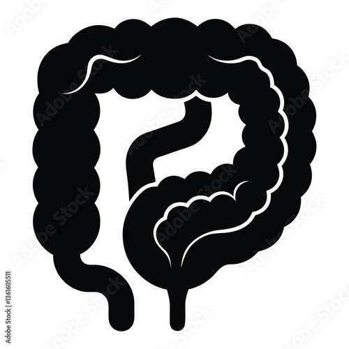 Human Esophagus Silhouette Vector Digestive System Anatomy Medical Illustration Healthcare Graphic for Science and Education