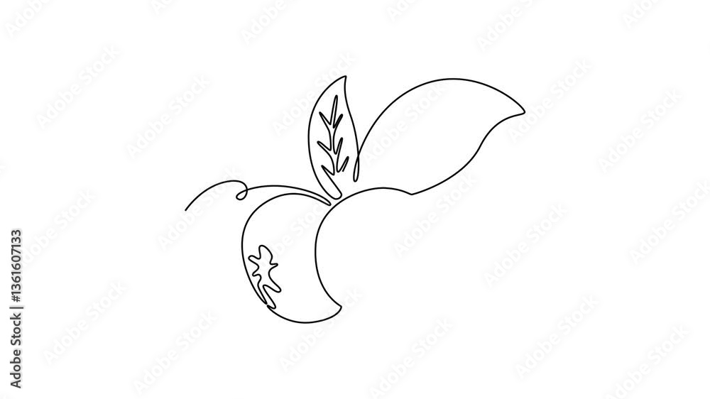 Blueberries. Fruits concept. Single line draw design. Full length animation illustration. High quality 4k footage Blueberries. Fruits concept. Single line draw design. Full length animation illustration. High quality 4k footage