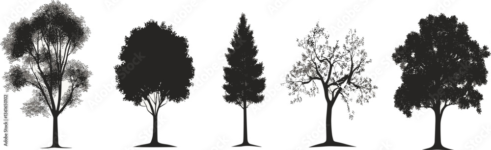 Set of black vector tree silhouettes on a white background, Detailed tree silhouettes of various trees on white background, Detailed tree silhouettes