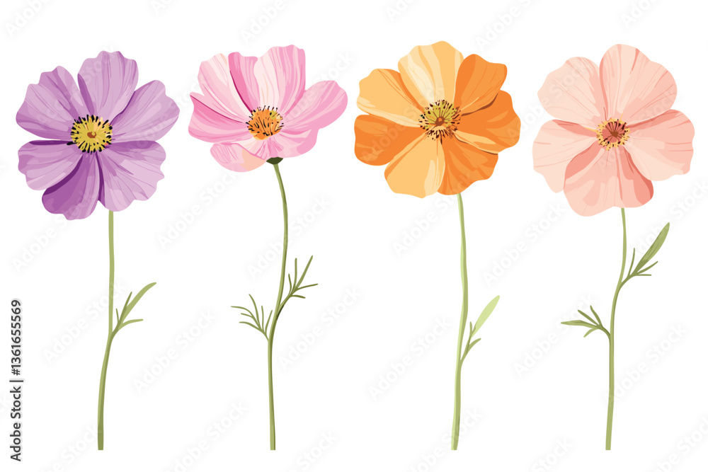 Set of cosmos flower vector illustrations with a white background, in pastel colors of pink, purple, orange, and light green. Flat design, detailed concept art, high-resolution photography, and high-q Set of cosmos flower vector illustrations with a white background, in pastel colors of pink, purple, orange, and light green. Flat design, detailed concept art, high-resolution photography, and high-q