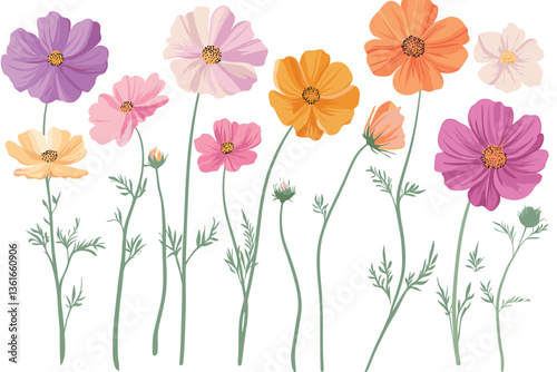 Set of cosmos flower vector illustrations with a white background, in pastel colors of pink, purple, orange, and light green. Flat design, detailed concept art, high-resolution photography, and high-q