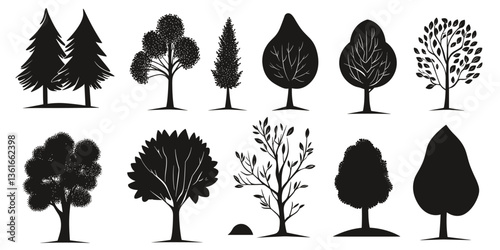 Set of black vector tree silhouettes on a white background, Detailed tree silhouettes of various trees on white background, Detailed tree silhouettes