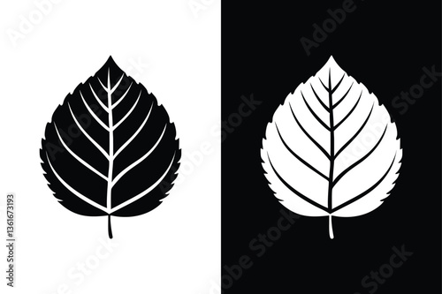 Minimalist Elm Leaf Illustration. Isolated Vector on White Background